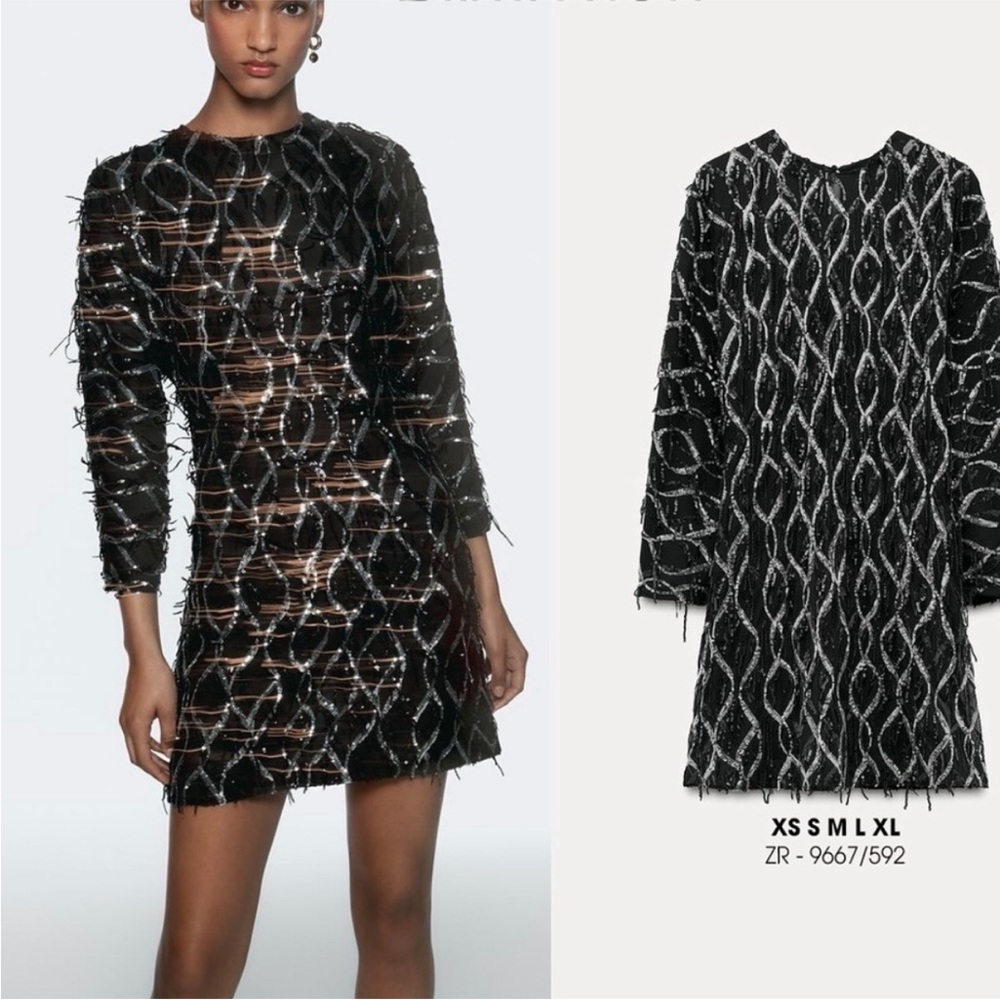 Nwt-Zara- SEQUIN FRINGED MINI DRESS - Picture 9 of 15